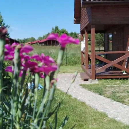 Letniskowe Oaza * Wicie (West Pomeranian)