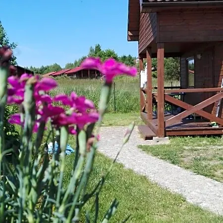 Letniskowe Oaza Lodge Wicie (West Pomeranian)